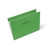 One box which contains 100 units of letter size hanging folders in the colour green each with reinforced steel rods that have coated tips
