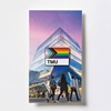 1" Lapel Pin with Pride Progress Flag and Black TMU